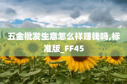 五金批发生意怎么样赚钱吗,标准版_FF45