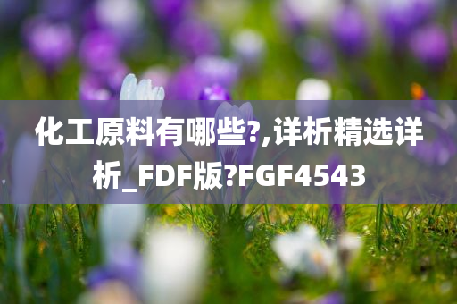 化工原料有哪些?,详析精选详析_FDF版?FGF4543