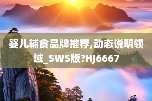 婴儿辅食品牌推荐,动态说明领域_SWS版?HJ6667