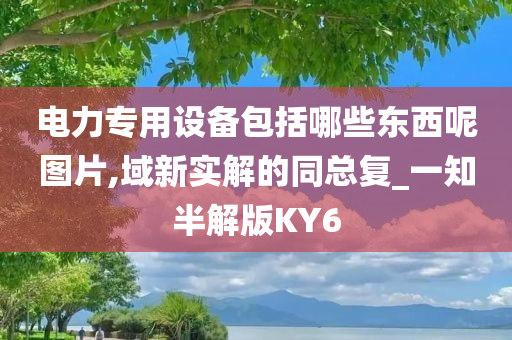 电力专用设备包括哪些东西呢图片,域新实解的同总复_一知半解版KY6