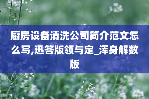 厨房设备清洗公司简介范文怎么写,迅答版领与定_浑身解数版