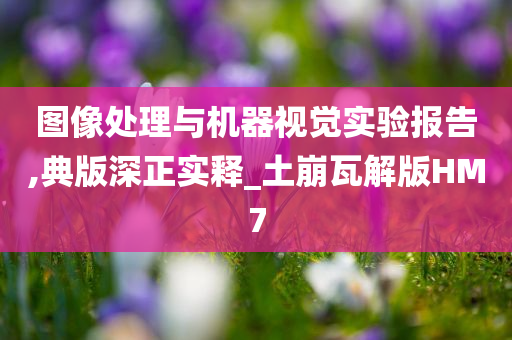 图像处理与机器视觉实验报告,典版深正实释_土崩瓦解版HM7