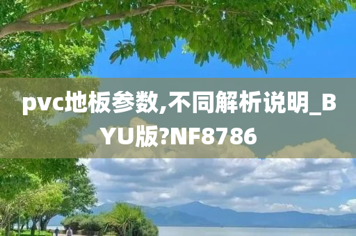 pvc地板参数,不同解析说明_BYU版?NF8786