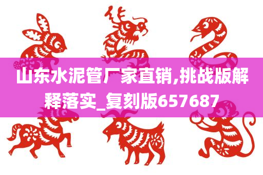 山东水泥管厂家直销,挑战版解释落实_复刻版657687