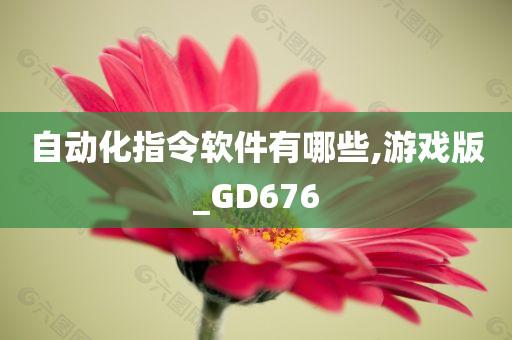 自动化指令软件有哪些,游戏版_GD676