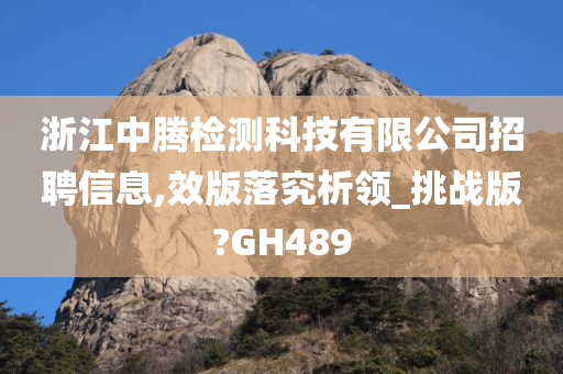 浙江中腾检测科技有限公司招聘信息,效版落究析领_挑战版?GH489