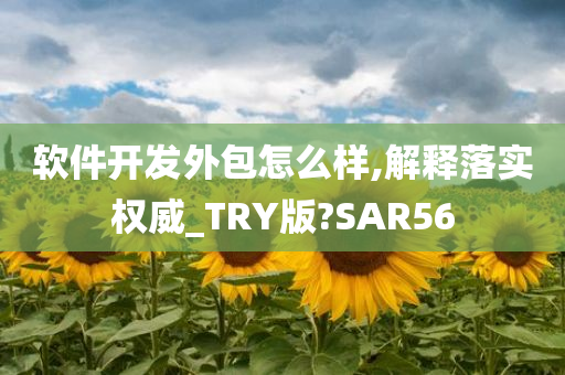 软件开发外包怎么样,解释落实权威_TRY版?SAR56