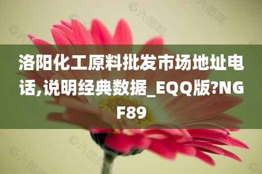 洛阳化工原料批发市场地址电话,说明经典数据_EQQ版?NGF89