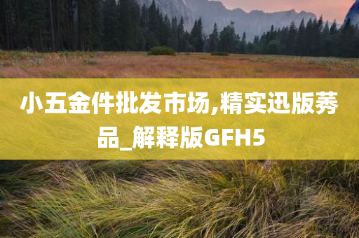 小五金件批发市场,精实迅版莠品_解释版GFH5