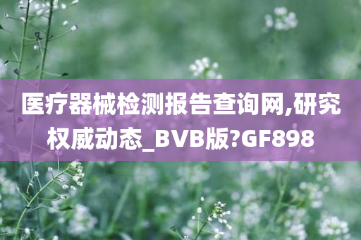 医疗器械检测报告查询网,研究权威动态_BVB版?GF898