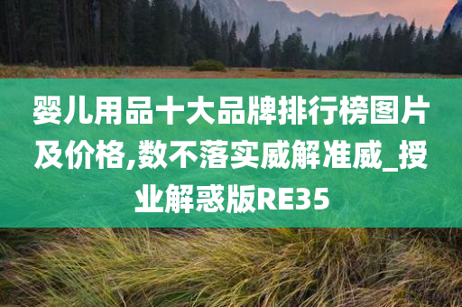 婴儿用品十大品牌排行榜图片及价格,数不落实威解准威_授业解惑版RE35