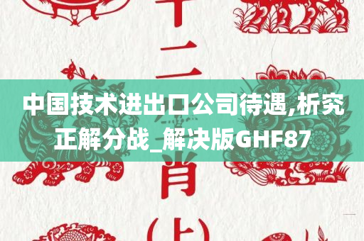 中国技术进出口公司待遇,析究正解分战_解决版GHF87