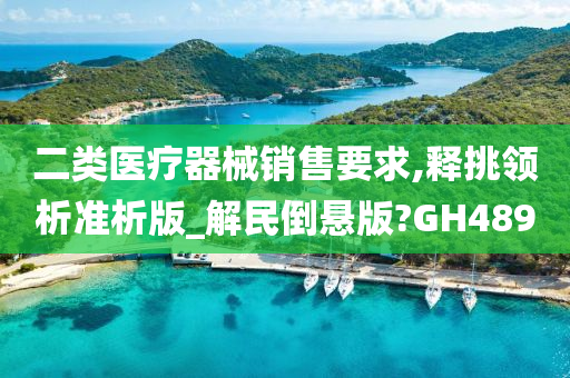 二类医疗器械销售要求,释挑领析准析版_解民倒悬版?GH489