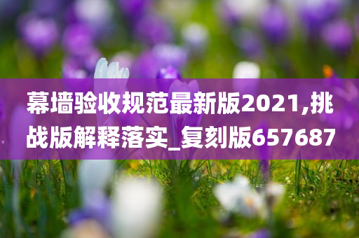 幕墙验收规范最新版2021,挑战版解释落实_复刻版657687