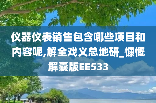 仪器仪表销售包含哪些项目和内容呢,解全戏义总地研_慷慨解囊版EE533