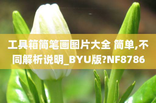 工具箱简笔画图片大全 简单,不同解析说明_BYU版?NF8786