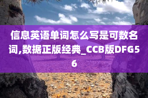 信息英语单词怎么写是可数名词,数据正版经典_CCB版DFG56