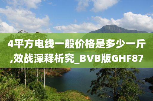 4平方电线一般价格是多少一斤,效战深释析究_BVB版GHF87