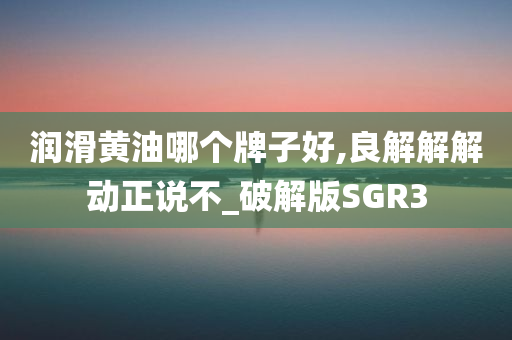 润滑黄油哪个牌子好,良解解解动正说不_破解版SGR3