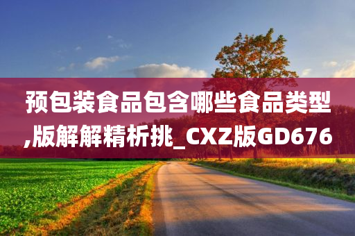 预包装食品包含哪些食品类型,版解解精析挑_CXZ版GD676