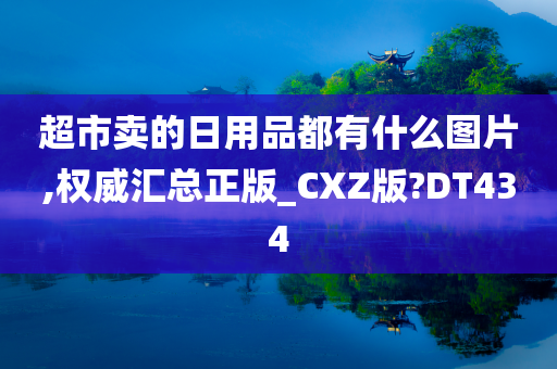 超市卖的日用品都有什么图片,权威汇总正版_CXZ版?DT434