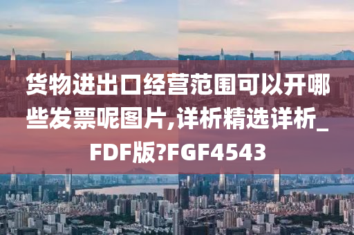 货物进出口经营范围可以开哪些发票呢图片,详析精选详析_FDF版?FGF4543