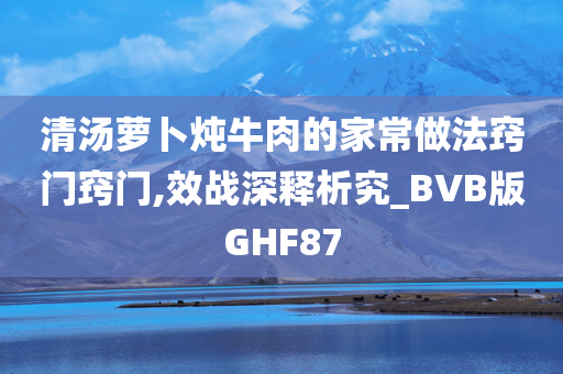 清汤萝卜炖牛肉的家常做法窍门窍门,效战深释析究_BVB版GHF87