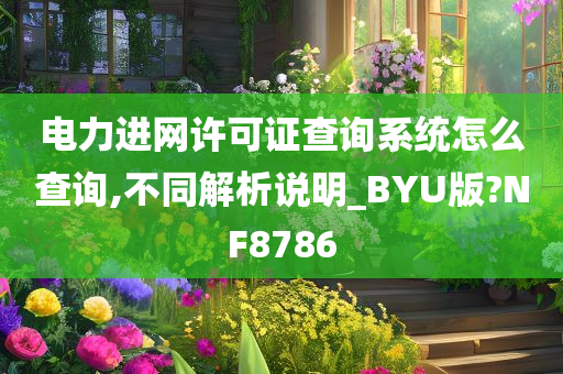 电力进网许可证查询系统怎么查询,不同解析说明_BYU版?NF8786