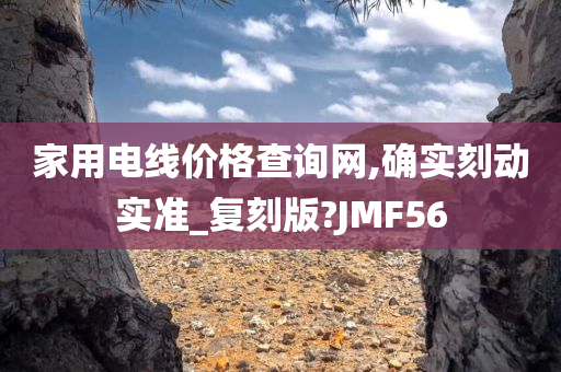 家用电线价格查询网,确实刻动实准_复刻版?JMF56