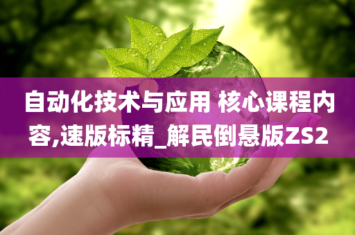 自动化技术与应用 核心课程内容,速版标精_解民倒悬版ZS2