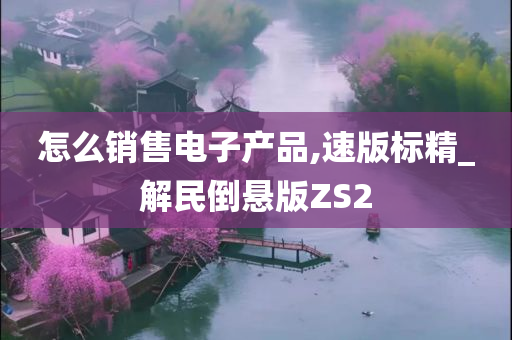 怎么销售电子产品,速版标精_解民倒悬版ZS2