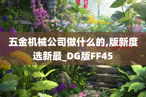 五金机械公司做什么的,版新度选新最_DG版FF45