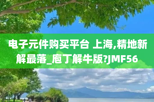 电子元件购买平台 上海,精地新解最落_庖丁解牛版?JMF56