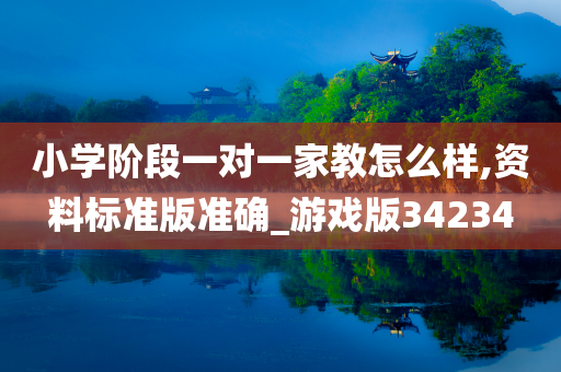 小学阶段一对一家教怎么样,资料标准版准确_游戏版34234