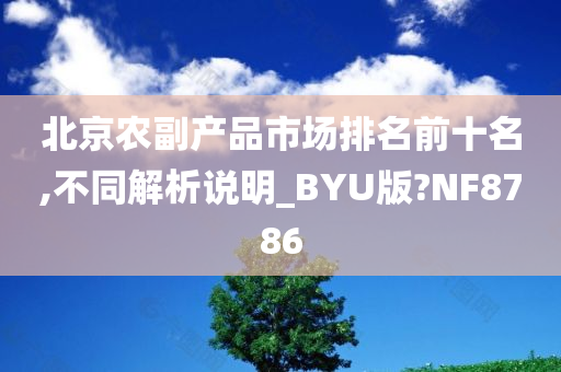 北京农副产品市场排名前十名,不同解析说明_BYU版?NF8786