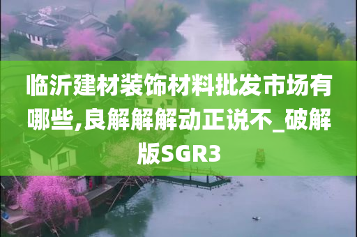 临沂建材装饰材料批发市场有哪些,良解解解动正说不_破解版SGR3