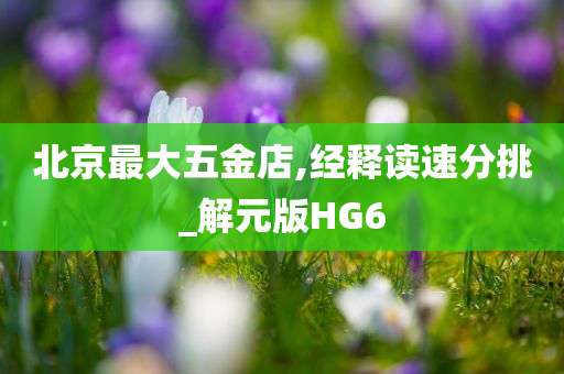 北京最大五金店,经释读速分挑_解元版HG6