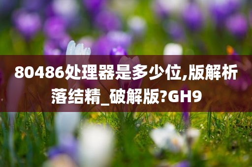 80486处理器是多少位,版解析落结精_破解版?GH9