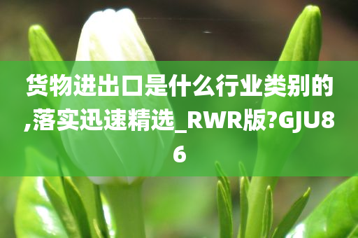 货物进出口是什么行业类别的,落实迅速精选_RWR版?GJU86