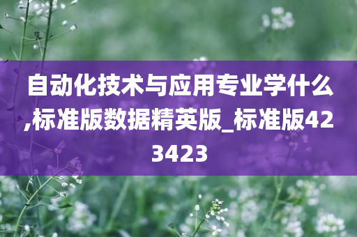 自动化技术与应用专业学什么,标准版数据精英版_标准版423423