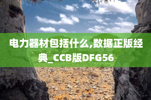 电力器材包括什么,数据正版经典_CCB版DFG56