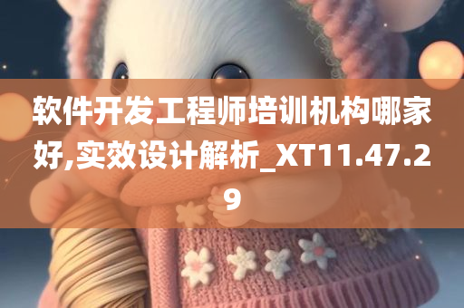 软件开发工程师培训机构哪家好,实效设计解析_XT11.47.29