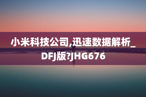 小米科技公司,迅速数据解析_DFJ版?JHG676