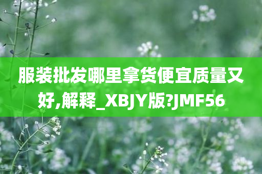 服装批发哪里拿货便宜质量又好,解释_XBJY版?JMF56