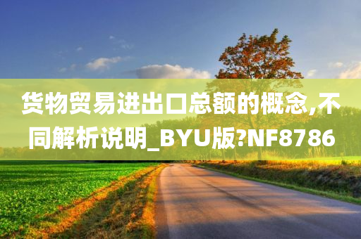 货物贸易进出口总额的概念,不同解析说明_BYU版?NF8786