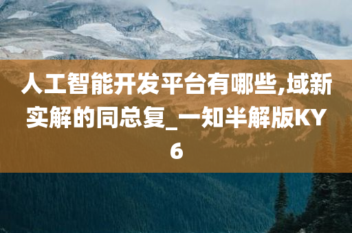 人工智能开发平台有哪些,域新实解的同总复_一知半解版KY6