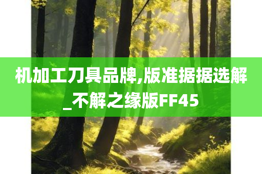 机加工刀具品牌,版准据据选解_不解之缘版FF45