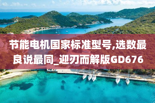 节能电机国家标准型号,选数最良说最同_迎刃而解版GD676