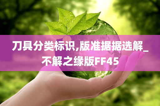 刀具分类标识,版准据据选解_不解之缘版FF45