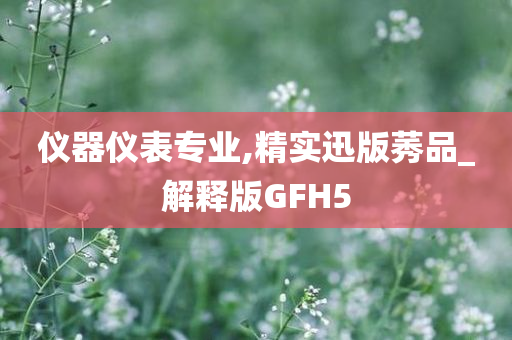 仪器仪表专业,精实迅版莠品_解释版GFH5